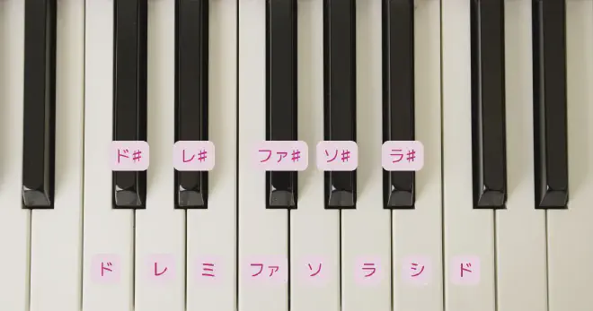 鍵盤